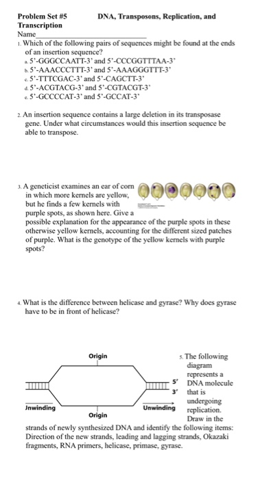 Solved Problem Set #5 DNA, Transposons, Replication, and | Chegg.com