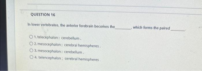 Solved Initial layers of neural tube include ventricular, | Chegg.com