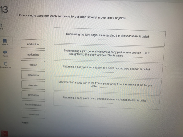 solved-place-a-single-word-into-each-sentence-to-describe-chegg