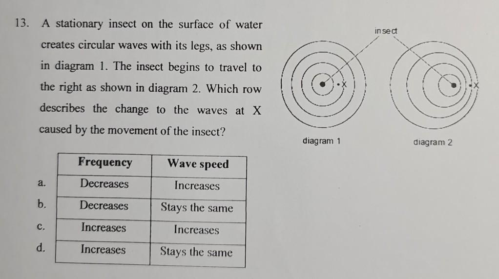 Solved 13. insect A stationary insect on the surface of | Chegg.com