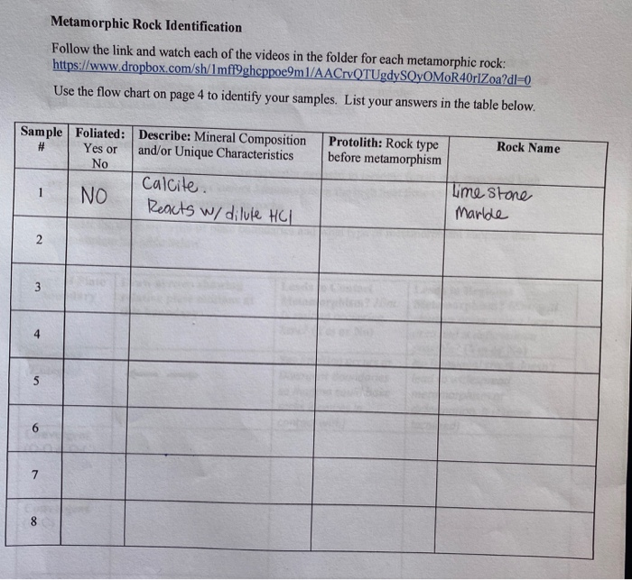 Solved What is the protolith here and how do you identify | Chegg.com