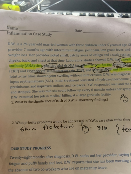 Where are immune cells synthesized image