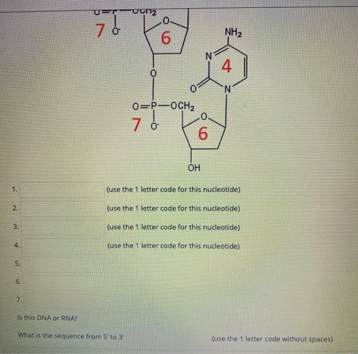 Solved Question 14 Consider The Following Molecule Ruc E Chegg Com