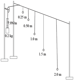 Horizontalis Rope Solved A horizontal rope is tied to two supports. From the | Chegg.com