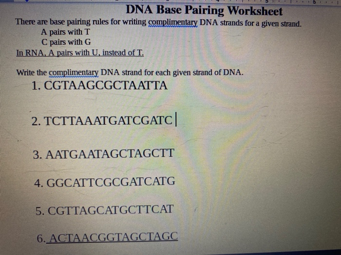 Solved Dna Base Pairing Worksheet There Are Base Pairing Chegg Com