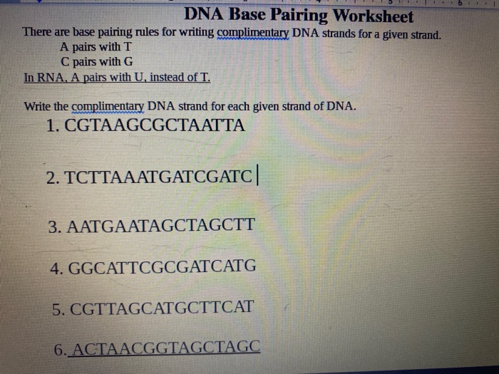Solved DNA Base Pairing Worksheet There Are Base Pairing Chegg