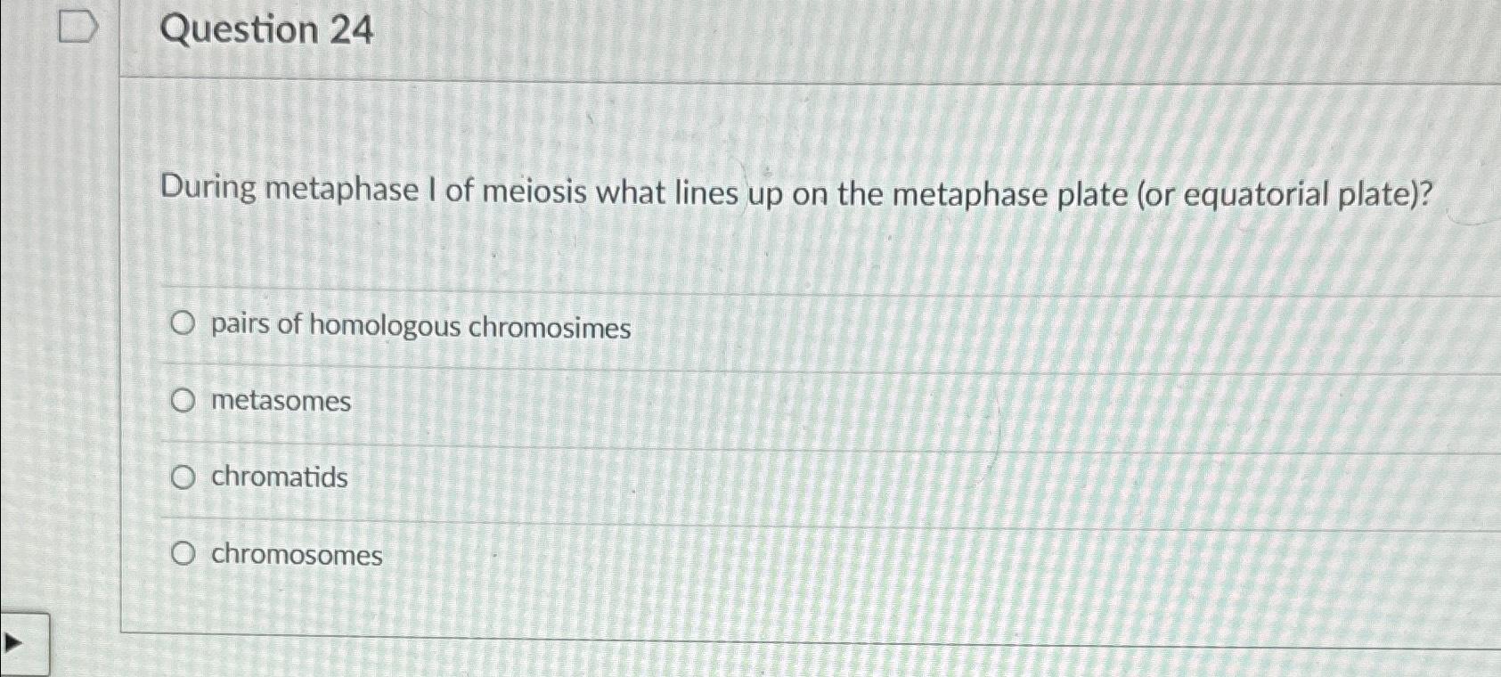 Solved Question 24During metaphase I of meiosis what lines