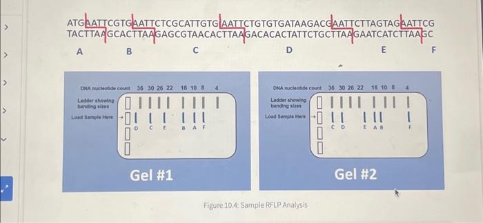 student submitted image, transcription available below