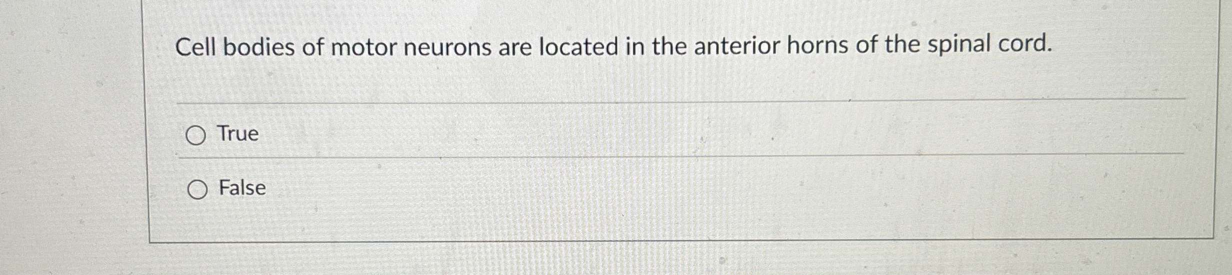 Solved Cell bodies of motor neurons are located in the | Chegg.com