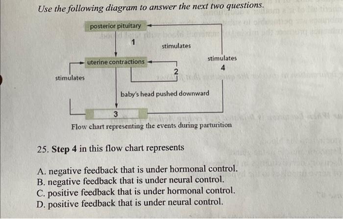 Use the following diagram to answer the next two questions.
Flow chart representing the events during parturition
25. Step 4