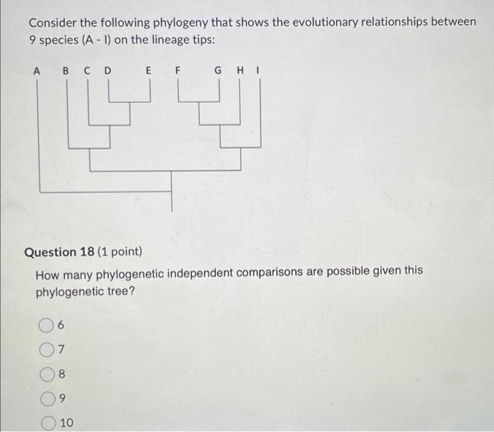 Solved Consider The Following Phylogeny That Shows The | Chegg.com