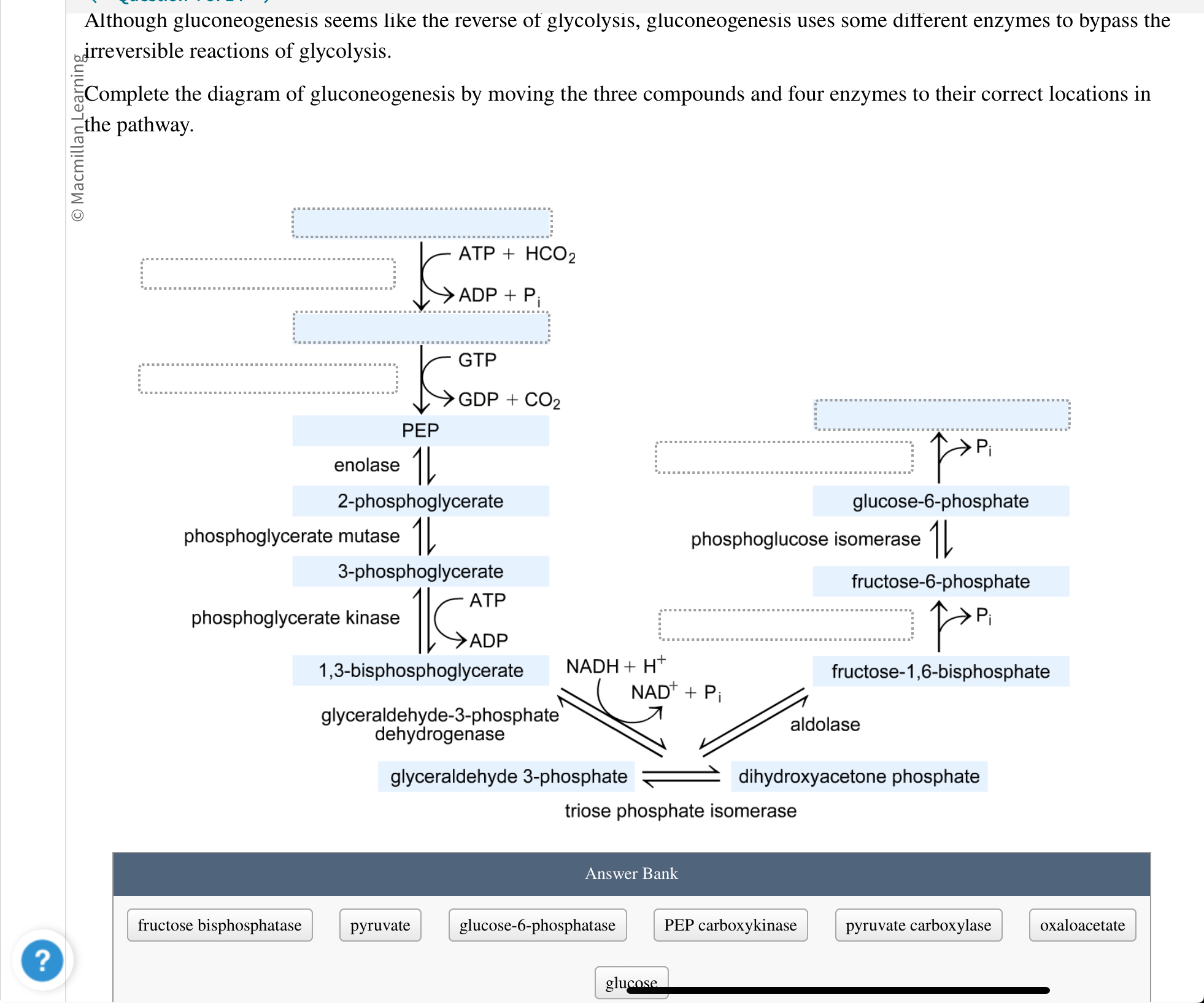 Solved Although gluconeogenesis seems like the reverse of | Chegg.com
