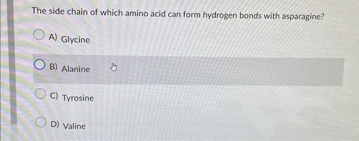 Solved The side chain of which amino acid can form hydrogen 