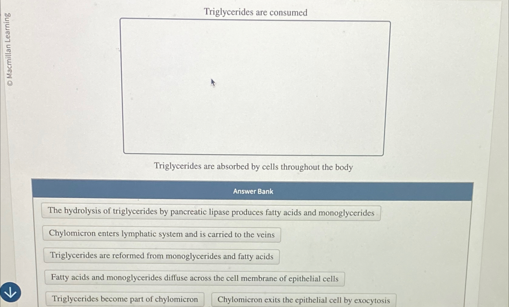 Solved Triglycerides are consumedTriglycerides are absorbed | Chegg.com