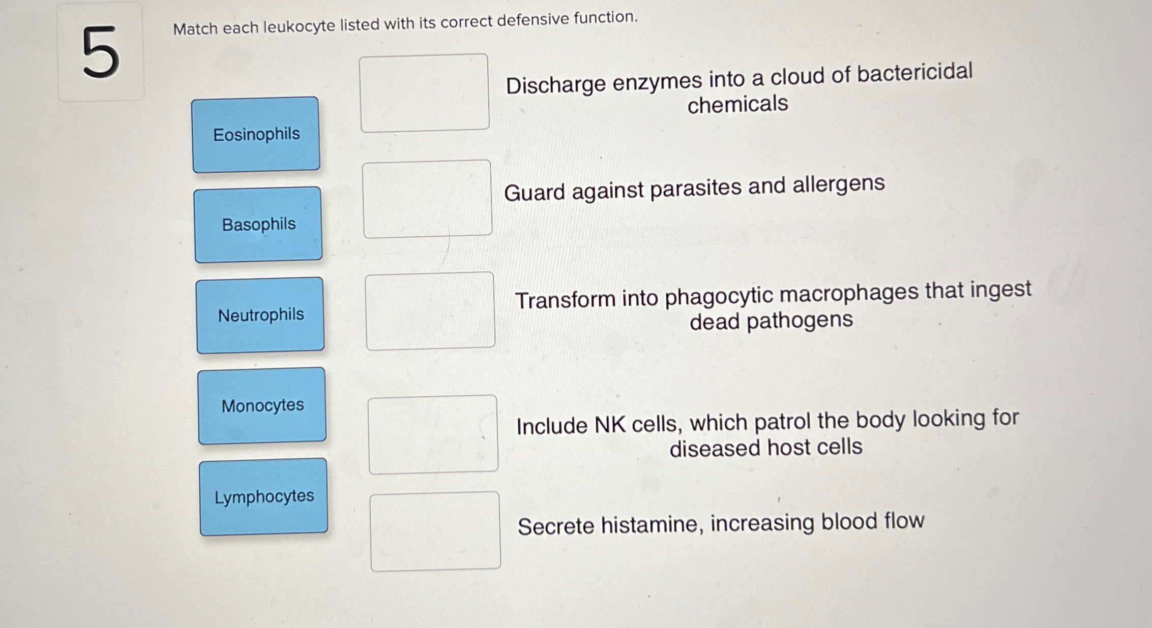 Solved Match each leukocyte listed with its correct | Chegg.com