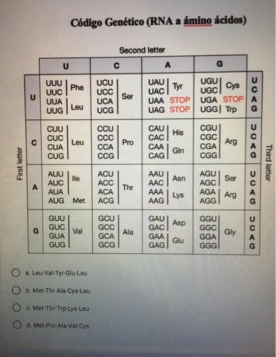 Solved Use the genetic code table (see table below) to | Chegg.com