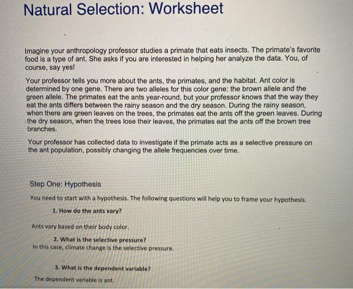 Solved Natural Selection: Worksheet Imagine your | Chegg.com