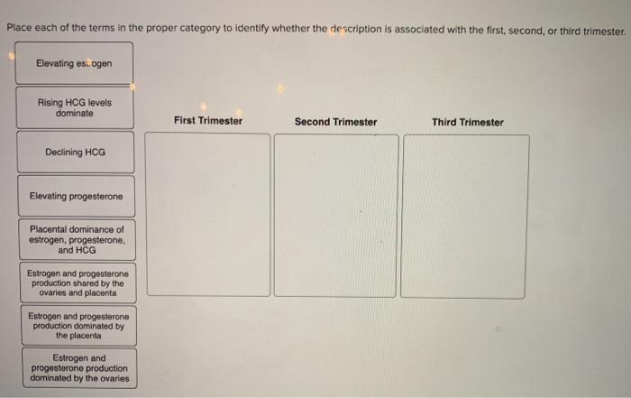 Solved Place each of the terms in the proper category to | Chegg.com