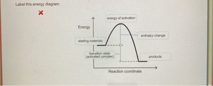 Solved Label This Energy Diagram Energy Of Activation En Chegg Solved Label This Energy Diagram Energy Of Activation En Chegg