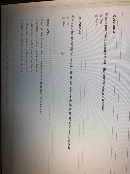 Solved Destion Completion Status: QUESTION 1 Transverse | Chegg.com