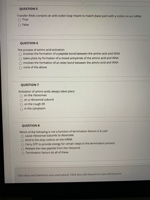 Solved QUESTION 1 The majority of protein synthesis occurs | Chegg.com