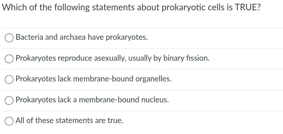 Solved Which of the following statements about prokaryotic | Chegg.com