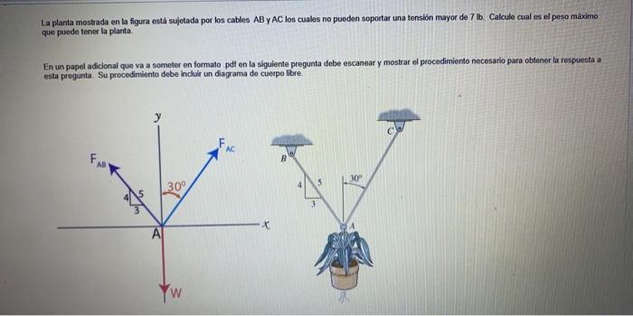 La planta mostrada en la figura está sujetada por los cables AB y AC los cuales no pueden soportar una tensión mayor de 7 lb.