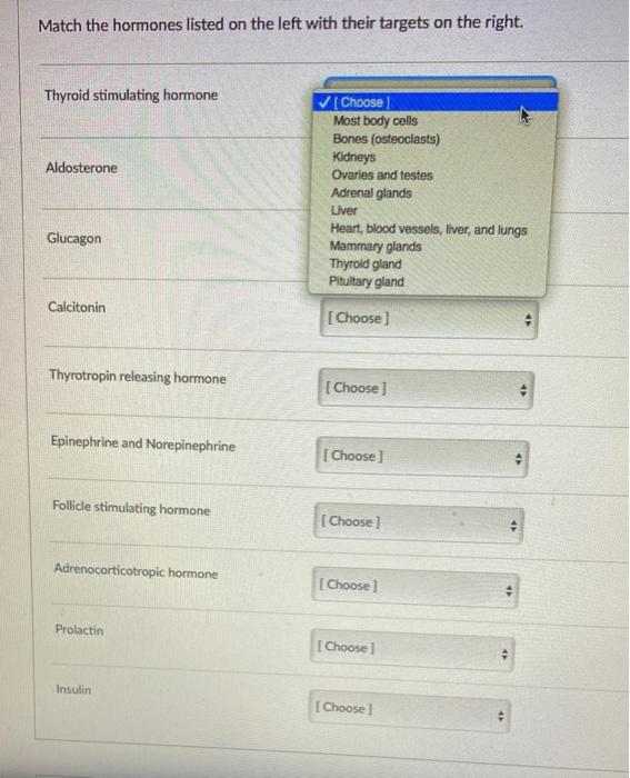 Solved Match the hormones listed on the left with their | Chegg.com
