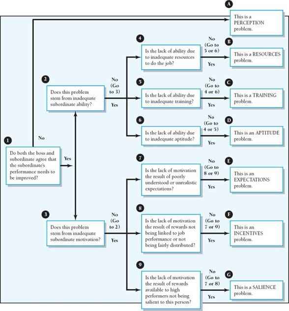 What Is The Performance Diagnosis Model