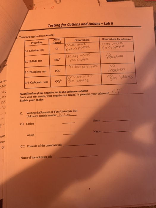 Testing for Cations and Anions Lab 6 Tests for