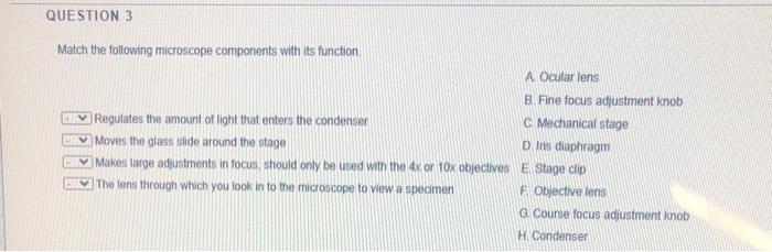 Solved please i need someone should answer all the questions | Chegg.com