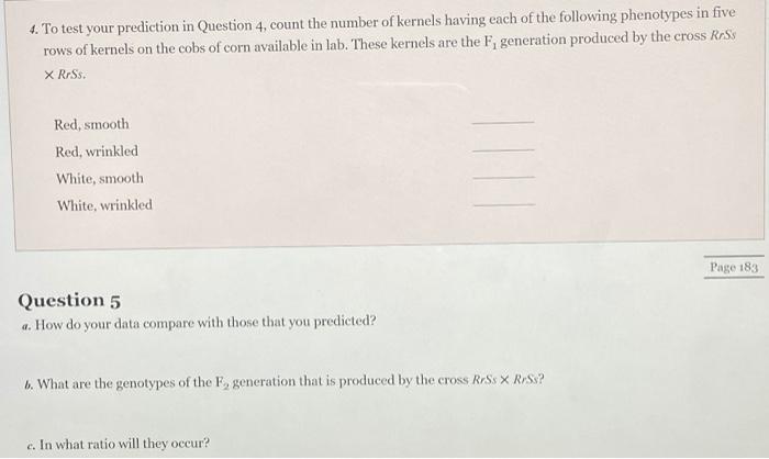 Who Can Help Me Fill Out Custody Papers