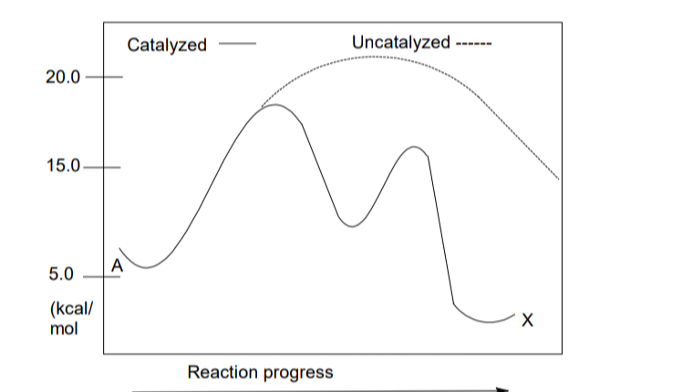 Solved help me INDicate the slow step and fast step. justify | Chegg.com