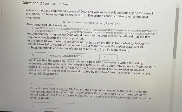 You've cloned and sequenced a piece of DNA and you | Chegg.com