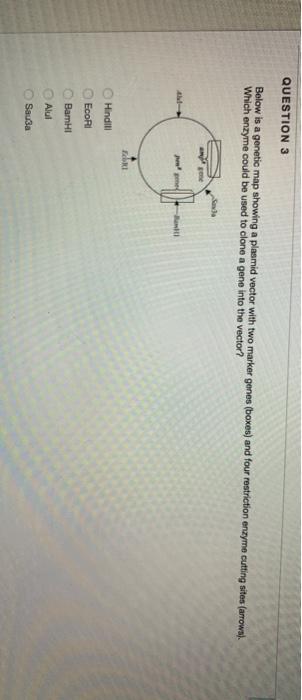 Solved Below in a genetic map showing a plasmid vector with | Chegg.com