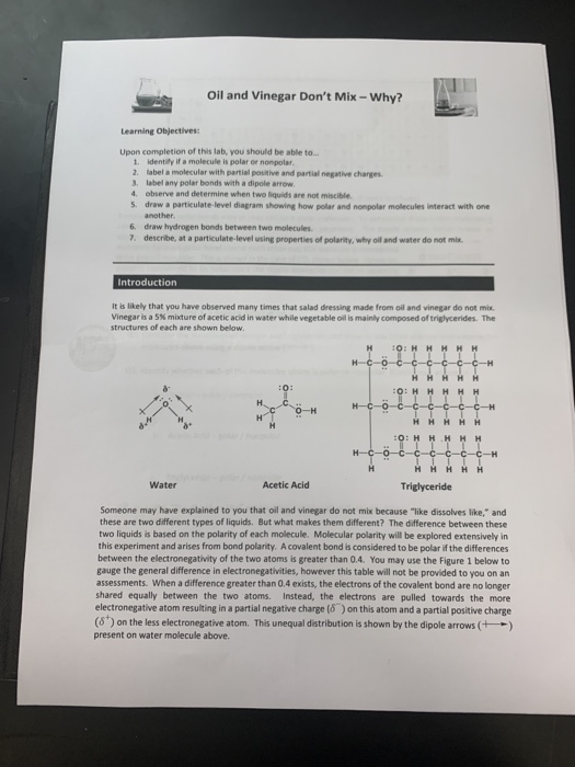 Oil and Vinegar Don't Mix Why? Learning Objectives