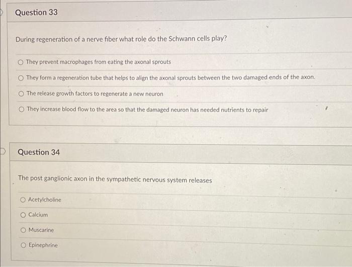Solved Question 33 During regeneration of a nerve fiber what | Chegg.com