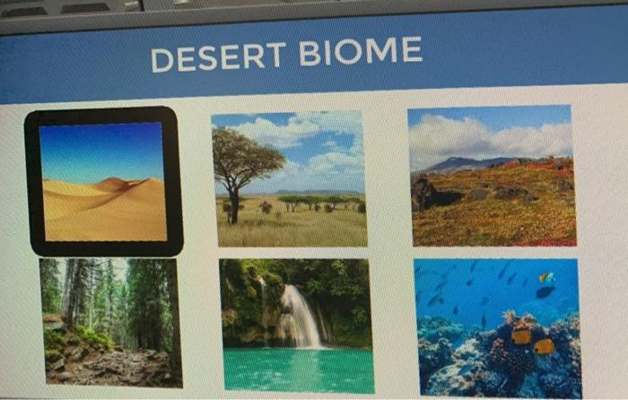 Desert: Mission: Biomes