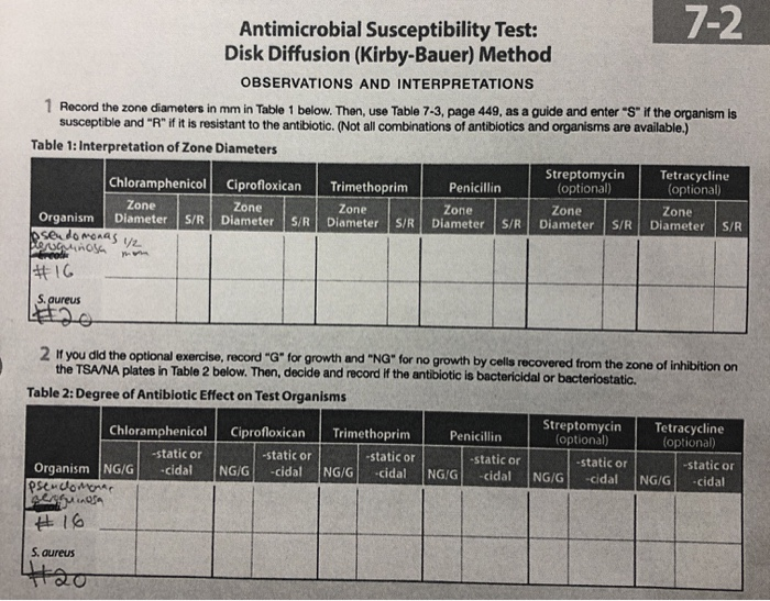 7-2 Antimicrobial Susceptibility Test: Disk Diffusion | Chegg.com