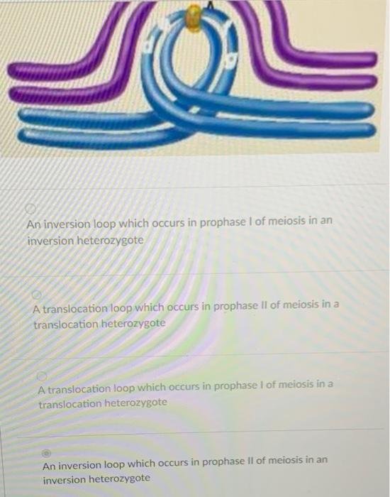 Solved What is the phenomenon shown below? An inversion loop | Chegg.com