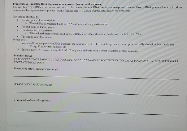 Solved Transcribe & Translate DNA sequence into a protein | Chegg.com