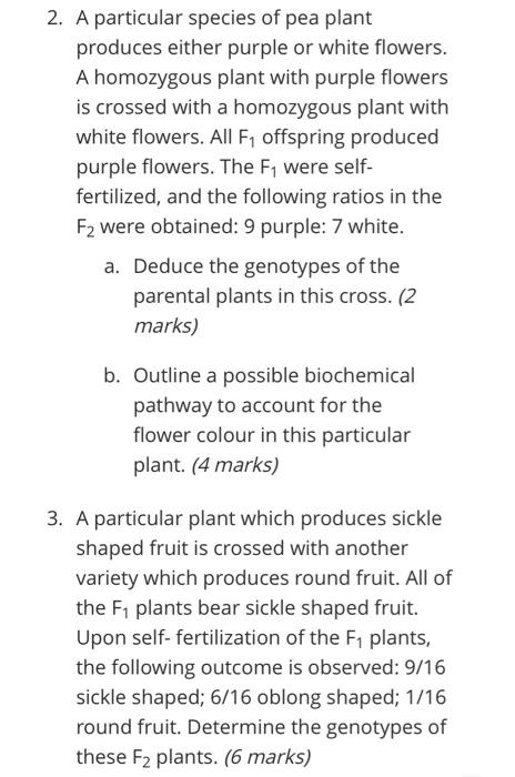 2. A particular species of pea plant
produces either purple or white flowers.
A homozygous plant with purple flowers
is cross