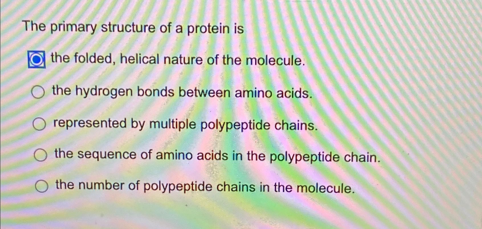 Solved The primary structure of a protein is the folded, | Chegg.com