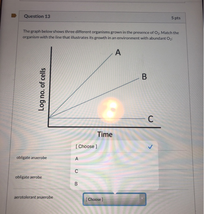 Solved Question 13 5 pts The graph below shows three | Chegg.com