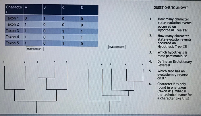 Solved Character State Mapping Exercise . Please map the | Chegg.com