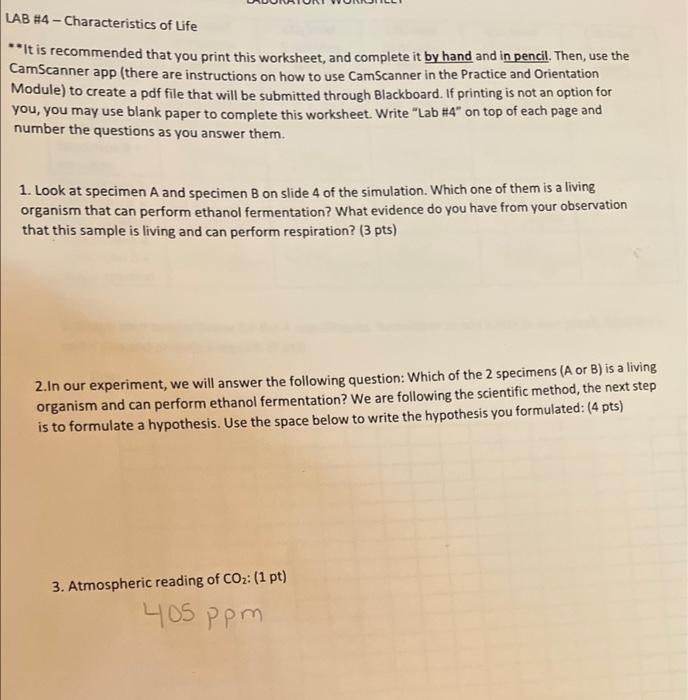 Solved •Analyze specimen A and specimen B below They both
