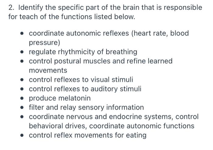 Solved 2. Identify the specific part of the brain that is | Chegg.com