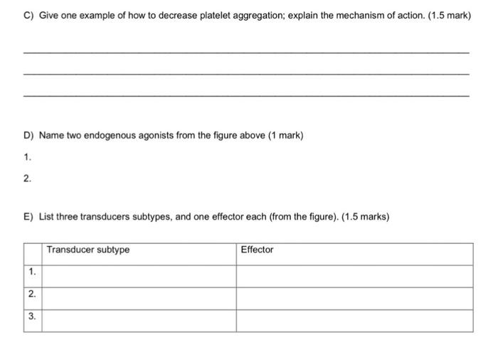 C) Give one example of how to decrease platelet aggregation; explain the mechanism of action. (1.5 mark)
D) Name two endogeno