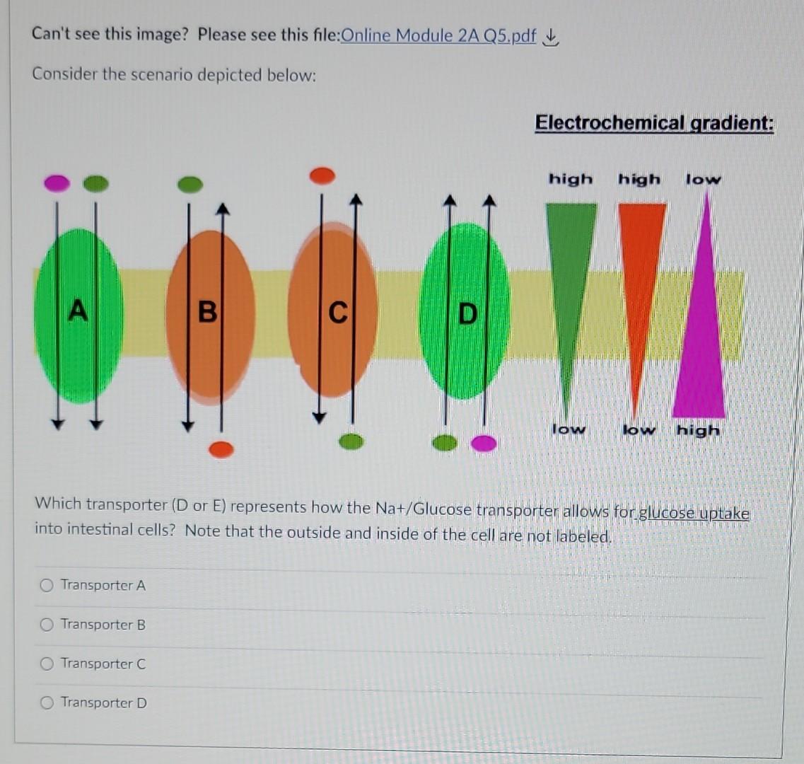 Solved Consider The Following Scenario In The Diagram Below: | Chegg.com