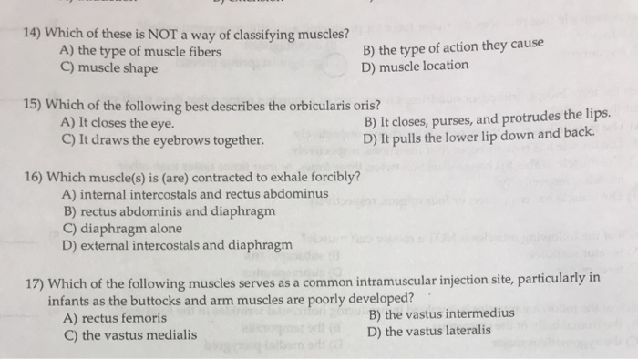 Solved 14 Which of these is NOT a way of classifying Chegg